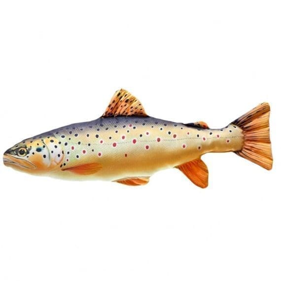 The Brown Trout, 62cm